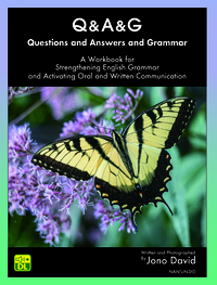 Q&A&G Questions and Answers and Grammar